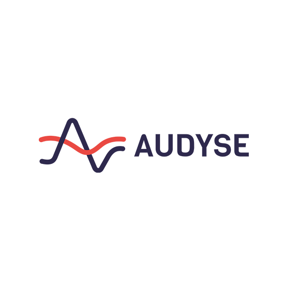 Audyse company logo