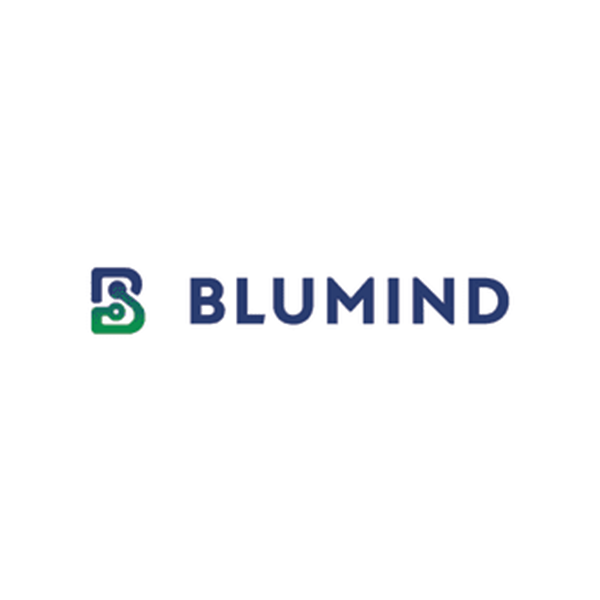 Blumind company logo